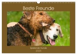 Beste Freunde - Spielende Hunde (Wandkalender 2025 DIN A3 quer), CALVENDO Monatskalender - Meike Bölts