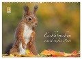 Eichhörnchen in zauberhaften Posen (Wandkalender 2024 DIN A2 quer), CALVENDO Monatskalender - Tine Meier