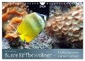 Bunte Riffbewohner - Fische, Anemonen und noch viel mehr (Wandkalender 2024 DIN A4 quer), CALVENDO Monatskalender - Bianca Schumann