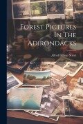 Cover-Bild zum Titel 'Forest Pictures In The Adirondacks' von 'Alfred Billings Street'