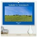 Verliebt in Norddeich (hochwertiger Premium Wandkalender 2025 DIN A2 quer), Kunstdruck in Hochglanz - Heidi Bollich