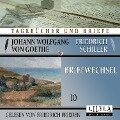 Cover-Bild zum Titel 'Briefwechsel 10' von 'Johann Wolfgang Goethe Friedrich von Schiller'