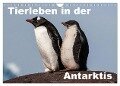 Tierleben in der Antarktis (Wandkalender 2024 DIN A4 quer), CALVENDO Monatskalender - Jürgen Wöhlke