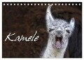 Kamele (Tischkalender 2024 DIN A5 quer), CALVENDO Monatskalender - Martina Berg