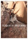 Katzen in Marokko (Wandkalender 2024 DIN A3 hoch), CALVENDO Monatskalender - Anja Klein Andreas Lauermann