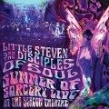 Summer Of Sorcery Live! At The Beacon...(3CD) - Little Steven And The Disciples Of Soul
