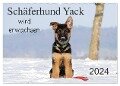 Schäferhund Yack wird erwachsen (Wandkalender 2024 DIN A2 quer), CALVENDO Monatskalender - Petra Schiller