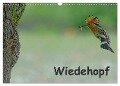Wiedehopf (Wandkalender 2024 DIN A3 quer), CALVENDO Monatskalender - Gerald Wolf