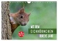 Mit dem Eichhörnchen durchs Jahr (Wandkalender 2024 DIN A4 quer), CALVENDO Monatskalender - Margret Brackhan