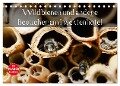 Wildbienen und andere Besucher am Insektenhotel (Tischkalender 2024 DIN A5 quer), CALVENDO Monatskalender - Anja Frost