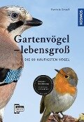 Gartenvögel lebensgroß - Daniela Strauß