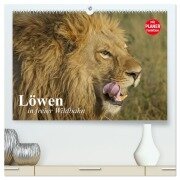 Löwen in freier Wildbahn (hochwertiger Premium Wandkalender 2026 DIN A2 quer), Kunstdruck in Hochglanz - Elisabeth Stanzer