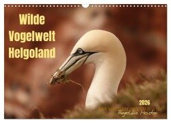 Wilde Vogelwelt Helgoland (Wandkalender 2026 DIN A3 quer), CALVENDO Monatskalender - Angelika Meister