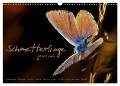 Schmetterlinge ganz nah (Wandkalender 2024 DIN A3 quer), CALVENDO Monatskalender - Julia Delgado