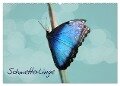 Schmetterlinge (Wandkalender 2025 DIN A2 quer), CALVENDO Monatskalender - Heike Hultsch
