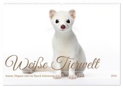 Weiße Tierwelt (Wandkalender 2026 DIN A2 quer), CALVENDO Monatskalender - Daniela Tapper