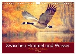 Zwischen Himmel und Wasser (Wandkalender 2026 DIN A4 quer), CALVENDO Monatskalender - Daniela Tapper