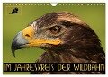 Im Jahreskreis der Wildbahn (Wandkalender 2024 DIN A4 quer), CALVENDO Monatskalender - Dirk Stamm