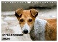 Straßenhunde (Wandkalender 2024 DIN A4 quer), CALVENDO Monatskalender - Antje Bakker