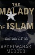 Malady of Islam - Abdelwahab Meddeb
