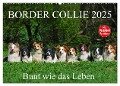 Border Collie 2025 (Wandkalender 2025 DIN A2 quer), CALVENDO Monatskalender - Sigrid Starick