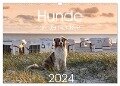 Hunde an der Nordsee (Wandkalender 2024 DIN A3 quer), CALVENDO Monatskalender - Heidi Bollich