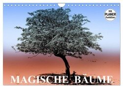 Magische Bäume (Wandkalender 2025 DIN A4 quer), CALVENDO Monatskalender - Elisabeth Stanzer
