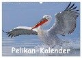 Pelikan-Kalender (Wandkalender 2024 DIN A3 quer), CALVENDO Monatskalender - Gerald Wolf