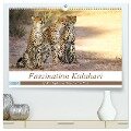 Faszination Kalahari (hochwertiger Premium Wandkalender 2024 DIN A2 quer), Kunstdruck in Hochglanz - Wibke Woyke