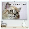 Katzen im Porträt / Geburtstagskalender (hochwertiger Premium Wandkalender 2024 DIN A2 quer), Kunstdruck in Hochglanz - Jennifer Chrystal
