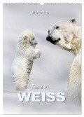 Tiere in Weiß (Wandkalender 2024 DIN A3 hoch), CALVENDO Monatskalender - Heinz Schmidbauer