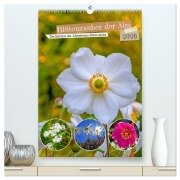 Blütenzauber der Alm (hochwertiger Premium Wandkalender 2026 DIN A2 hoch), Kunstdruck in Hochglanz - Christa Kramer