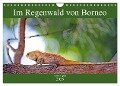 Im Regenwald von Borneo (Wandkalender 2025 DIN A4 quer), CALVENDO Monatskalender - Klaus Eppele