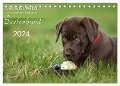 Labrador Welpe ¿ Seelenhund (Tischkalender 2024 DIN A5 quer), CALVENDO Monatskalender - Petra Schiller