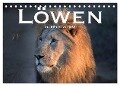 Löwen. Die Könige Afrikas (Tischkalender 2024 DIN A5 quer), CALVENDO Monatskalender - Robert Styppaa
