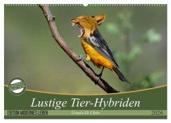Lustige Tier-Hybriden (Wandkalender 2026 DIN A2 quer), CALVENDO Monatskalender - Ursula Di Chito