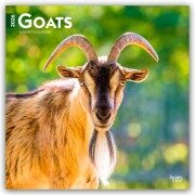 Cover-Bild zum Titel 'Goats - Ziegen 2026 - 16-Monatskalender' von 'Browntrout Publishers'