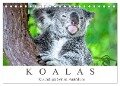Koalas - Kuscheliges Symbol Australiens (Tischkalender 2024 DIN A5 quer), CALVENDO Monatskalender - Dieter Meyer