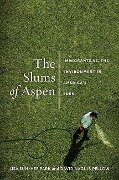 Slums of Aspen - Lisa Sun-Hee Park