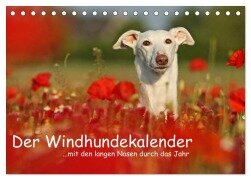 Der Windhundekalender (Tischkalender 2025 DIN A5 quer), CALVENDO Monatskalender - Kathrin Köntopp