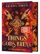 Cover-Bild zum Titel 'The Things Gods Break - Schattenverführt' von 'Abigail Owen'