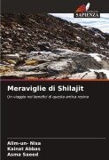 Cover-Bild zum Titel 'Meraviglie di Shilajit' von 'Alim-Un Nisa, Kainat Abbas, Asma Saeed'