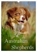 Australian Shepherds (Wandkalender 2024 DIN A3 hoch), CALVENDO Monatskalender - Nicole Noack