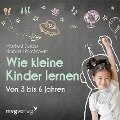 Wie kleine Kinder lernen - von 3-6 Jahren - Norbert Herschkowitz, Manfred Spitzer
