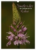 Juwelen der Natur - Ein Orchideensommer (Wandkalender 2025 DIN A3 hoch), CALVENDO Monatskalender - Dirk Stamm