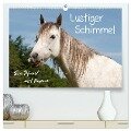 Lustiger Schimmel - ein Pferd mit Humor (hochwertiger Premium Wandkalender 2025 DIN A2 quer), Kunstdruck in Hochglanz - Meike Bölts