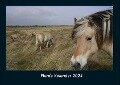 Pferde Kalender 2024 Fotokalender DIN A4 - Tobias Becker