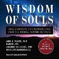 Wisdom of Souls: Case Studies of Life Between Lives from the Michael Newton Institute - Ann J. Clark, Marilyn Hargreaves