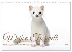 Weiße Tierwelt (Wandkalender 2026 DIN A3 quer), CALVENDO Monatskalender - Daniela Tapper