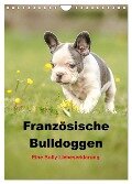 Französische Bulldoggen - Eine Bully Liebeserkärung (Wandkalender 2024 DIN A4 hoch), CALVENDO Monatskalender - Yvonne Obermüller